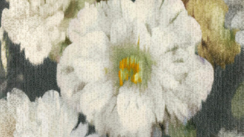 Herbaria  Obsidian W912-02